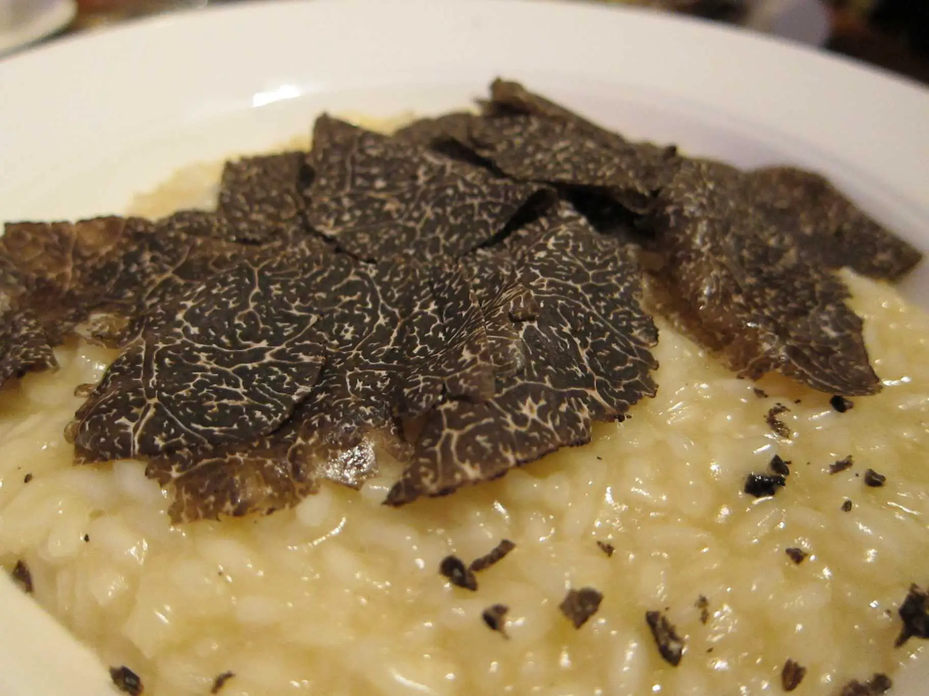 how much are black truffles