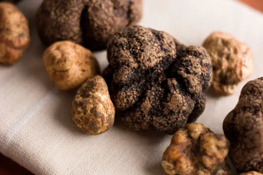 what makes a truffle a truffle